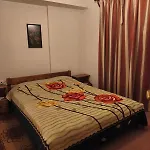 Traditional House