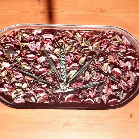 Traditional House Διαμέρισμα